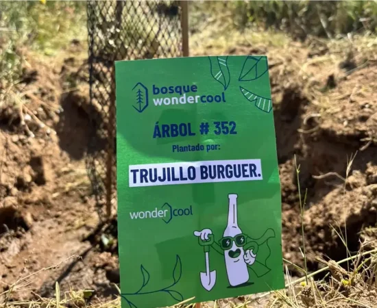 Bosque wonder cool 15