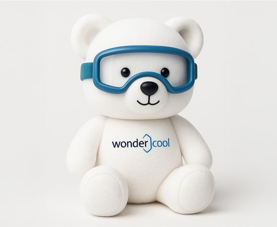 wondercool oso de peluche 2